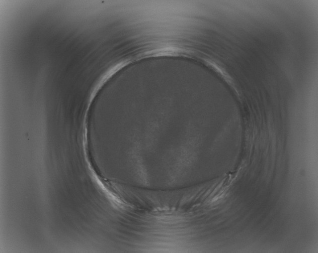 X0000062791418200601051034