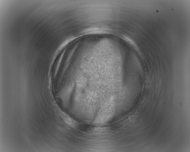 X0000062791419200601051034