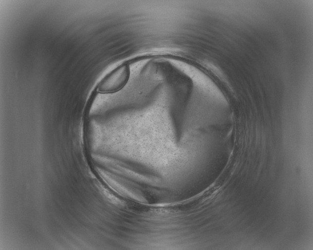 X0000062791420200601051034