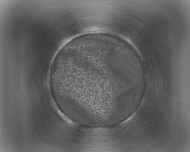 X0000062791421200601051034