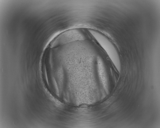 X0000062791422200601051034