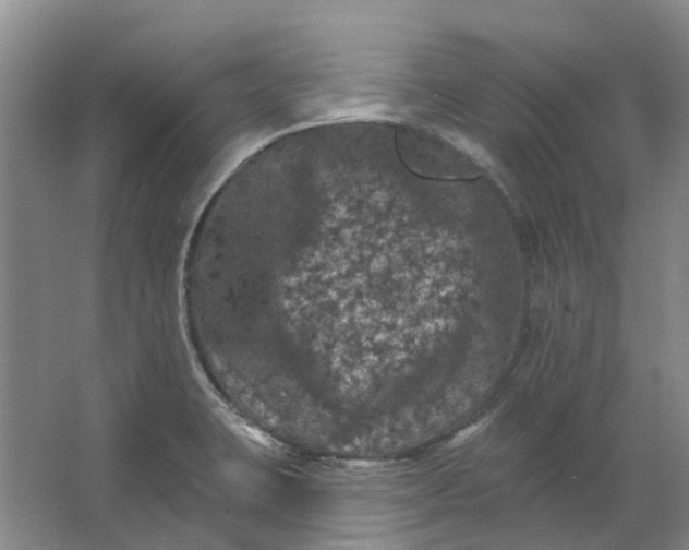 X0000062791423200601051034