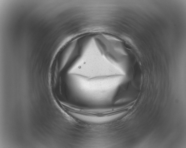 X0000062791424200601051034