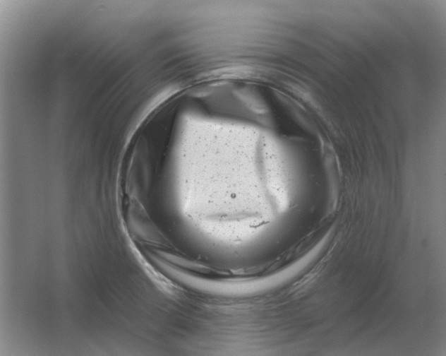 X0000062791426200601051034