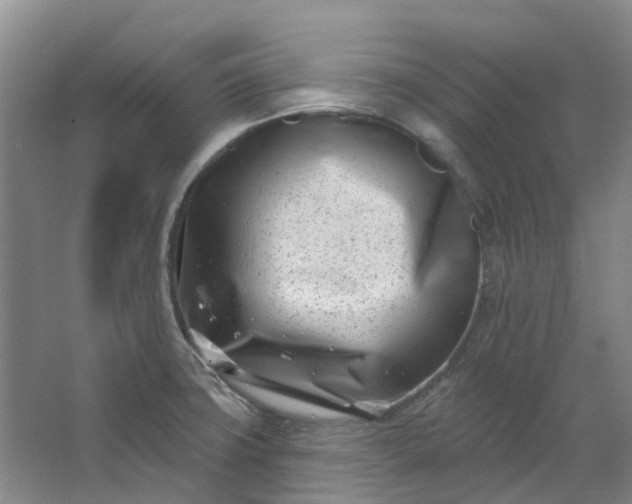 X0000062791427200601051034