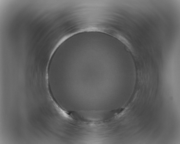 X0000062791428200601051034