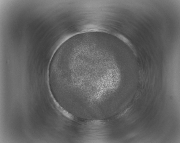 X0000062791431200601051034