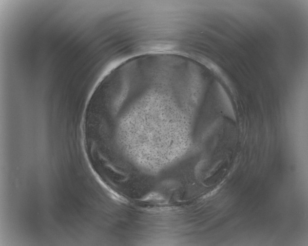 X0000062791432200601051034