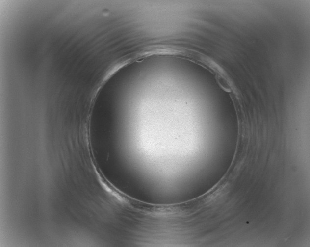 X0000062791433200601051034