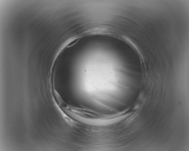 X0000062791434200601051034