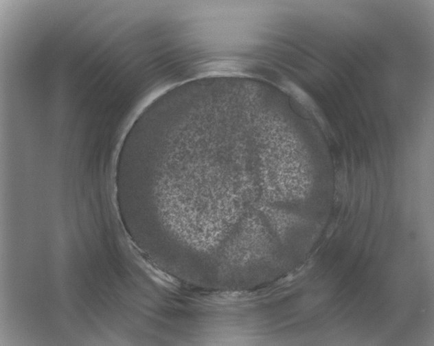 X0000062791435200601051034