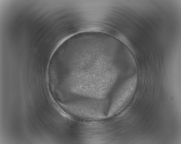 X0000062791436200601051034