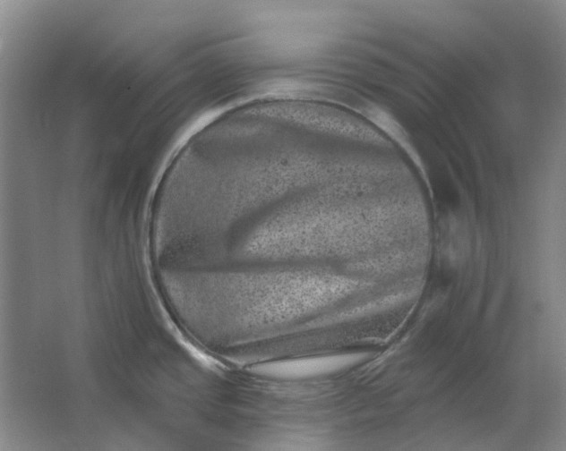 X0000062791437200601051034