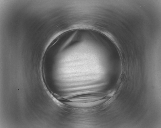 X0000062791438200601051034