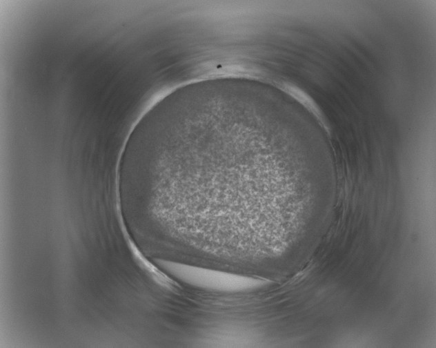 X0000062791439200601051034