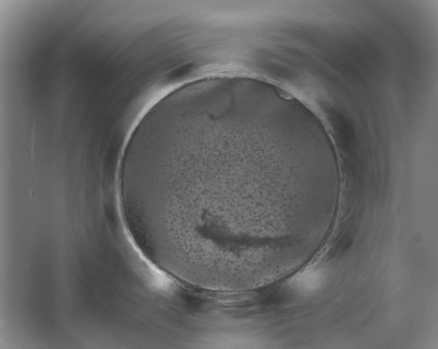 X0000062791440200601051034