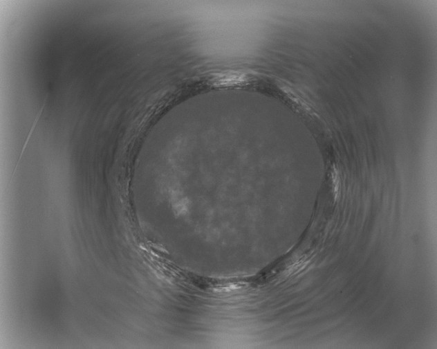 X0000062791441200601051033