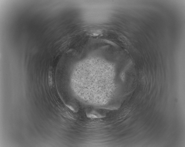 X0000062791442200601051033