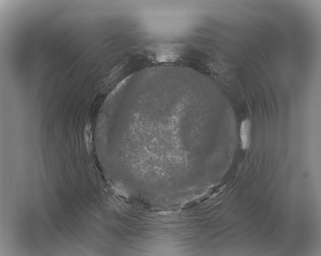 X0000062791443200601051033