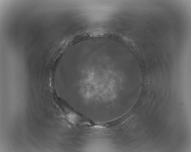 X0000062791445200601051033