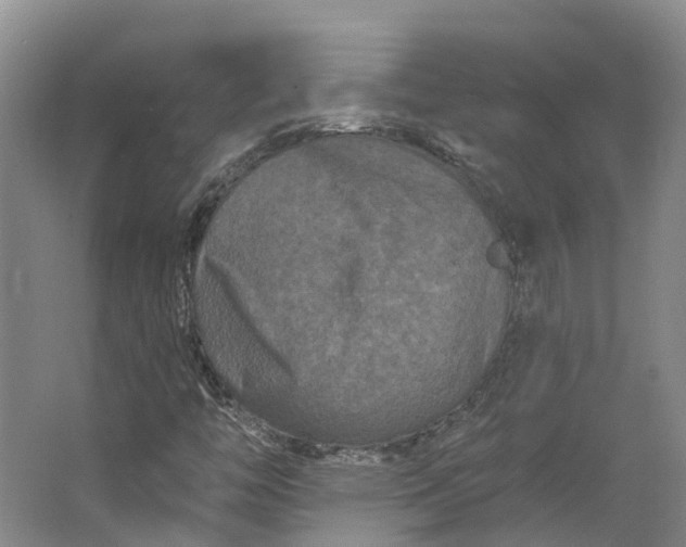 X0000062791446200601051033