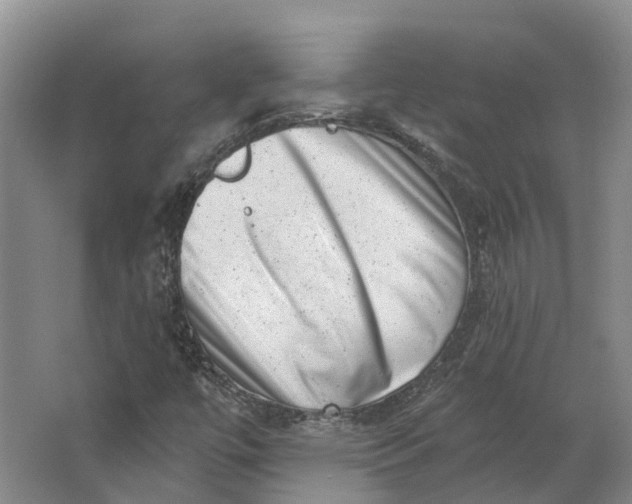 X0000062791447200601051033