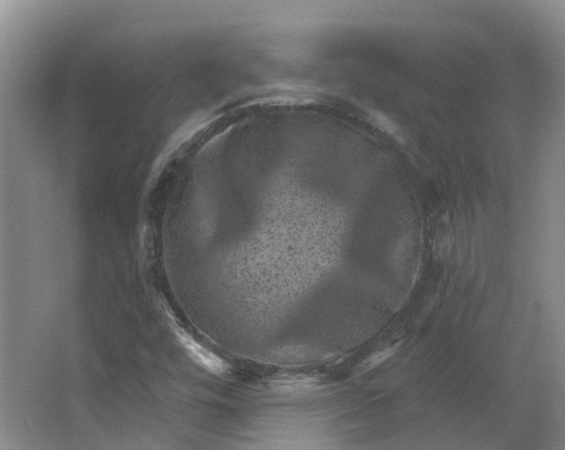 X0000062791448200601051033