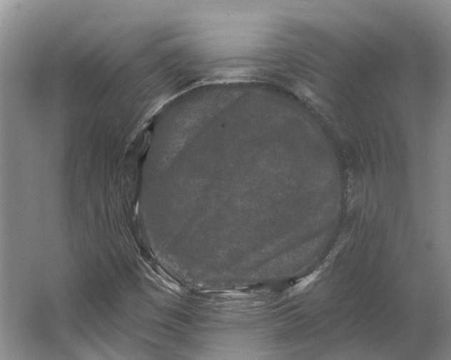 X0000062791449200601051033