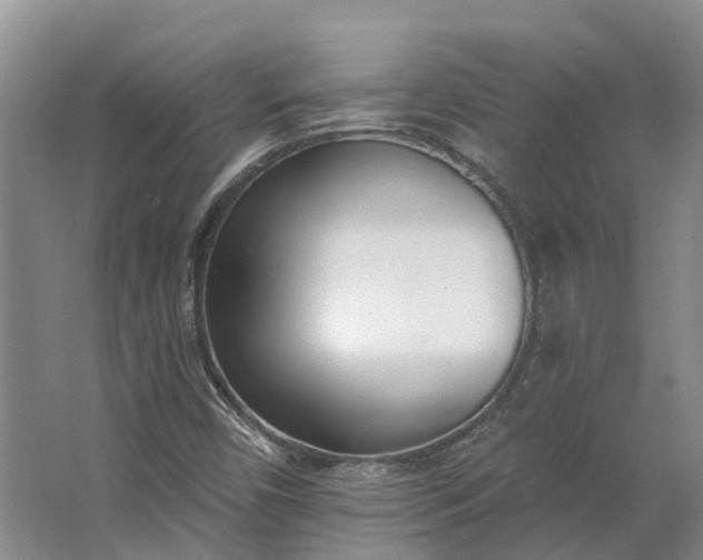 X0000062791450200601051033