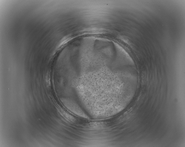 X0000062791451200601051033