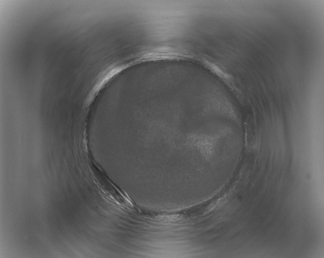 X0000062791453200601051033