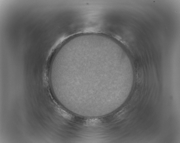 X0000062791454200601051033