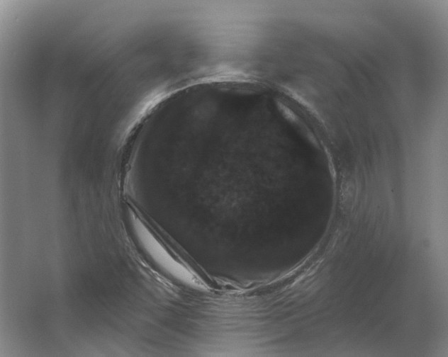 X0000062791455200601051033