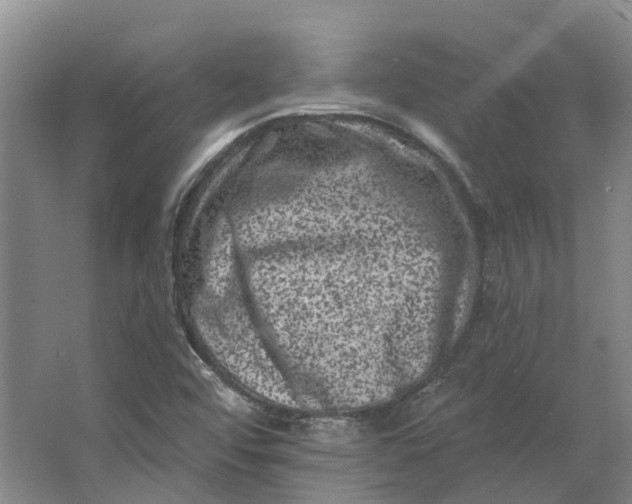 X0000062791456200601051033