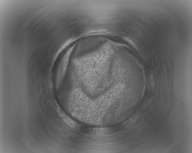 X0000062791458200601051033