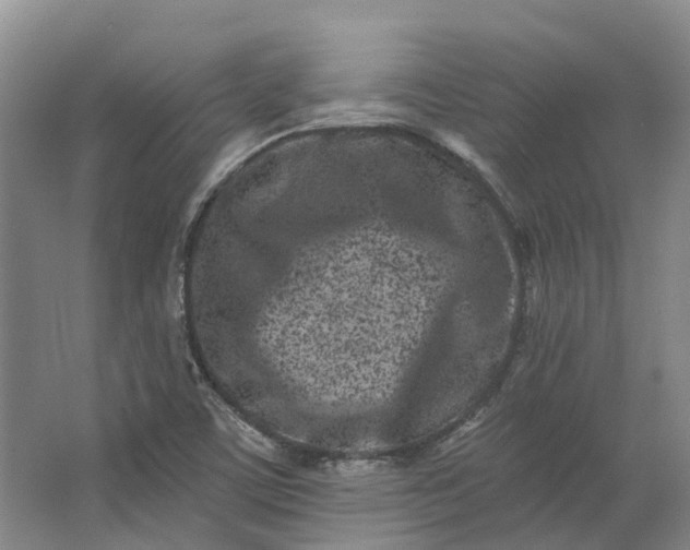 X0000062791459200601051033