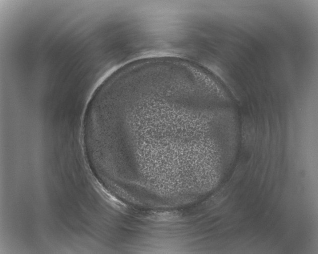 X0000062791460200601051033