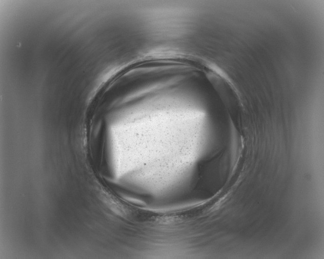 X0000062791461200601051033