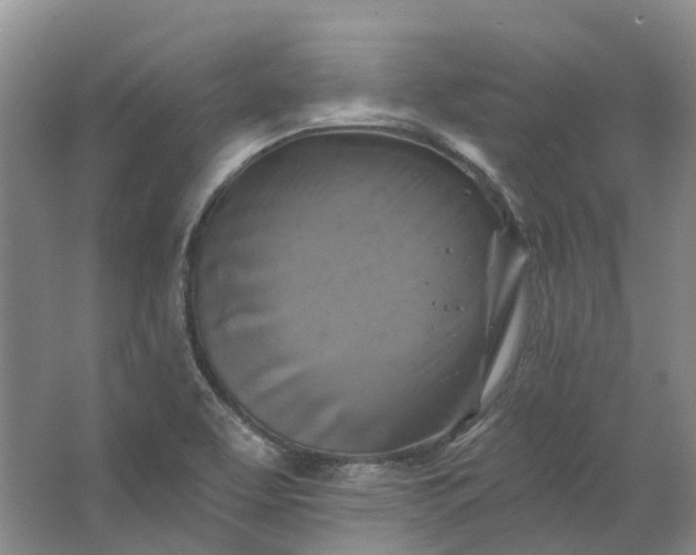 X0000062791463200601051033