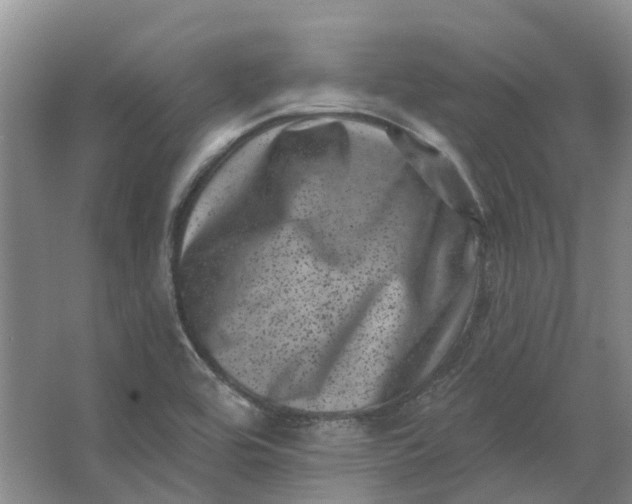 X0000062791464200601051033