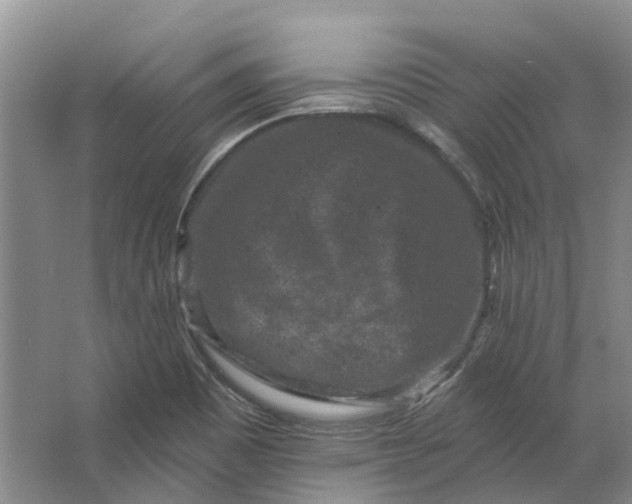 X0000062791465200601051033