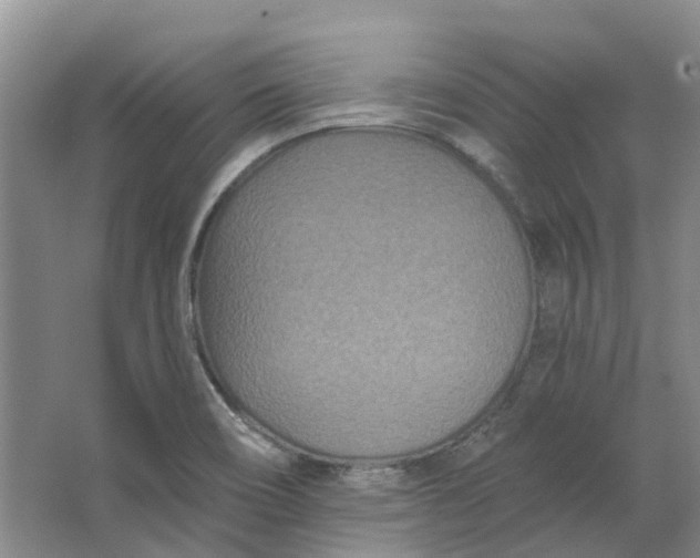 X0000062791466200601051033