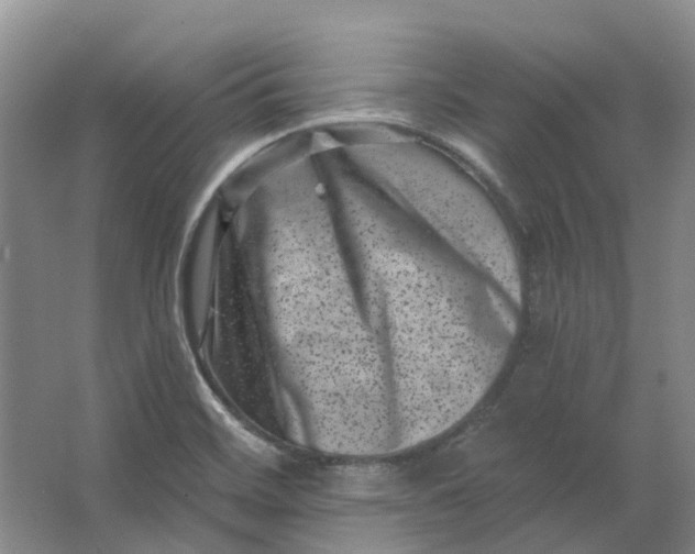 X0000062791468200601051033