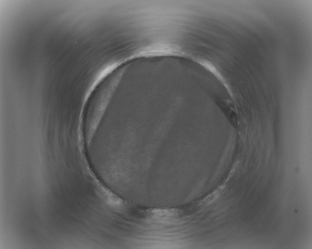 X0000062791469200601051033