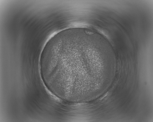 X0000062791471200601051033