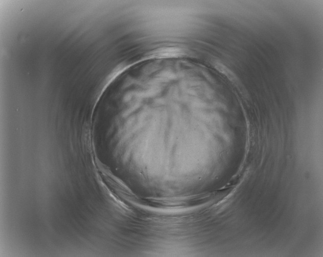 X0000062791473200601051033