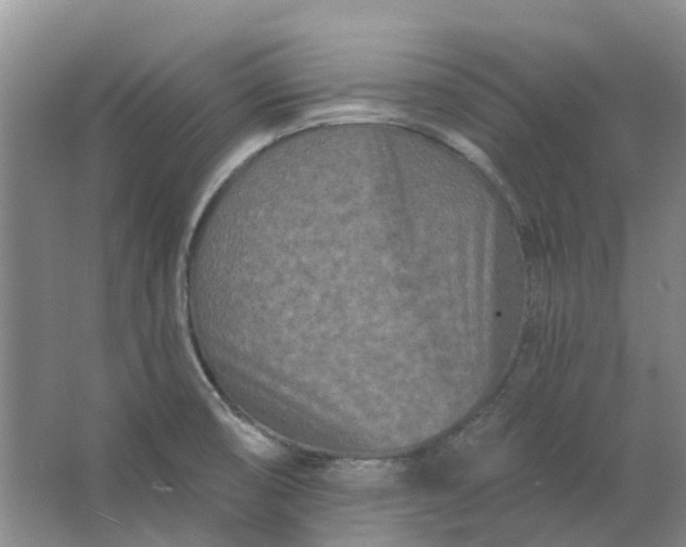 X0000062791474200601051033