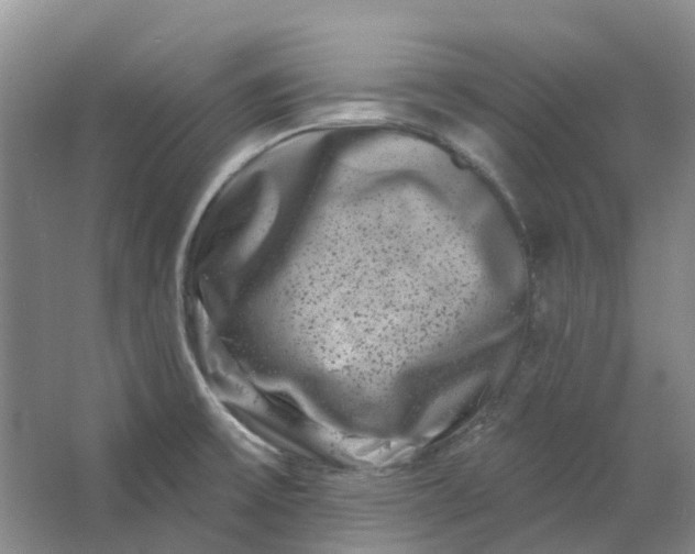 X0000062791475200601051033