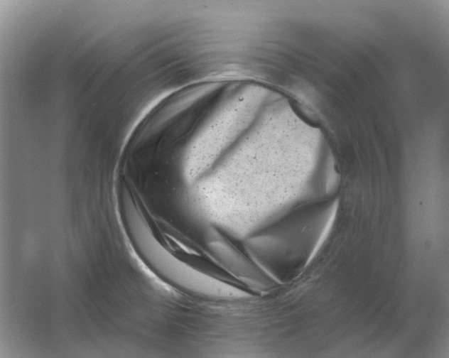 X0000062791476200601051033