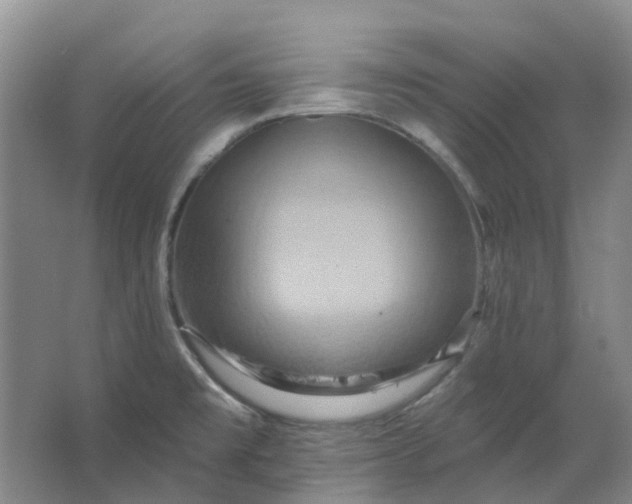 X0000062791477200601051033